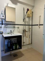 Blk 245 Tampines Street 21 (Tampines), HDB Executive #504251121
